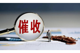 西塞山企业清欠服务